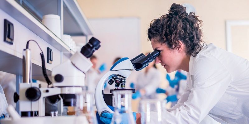 ¿En qué sectores tengo más oportunidades de encontrar trabajo ahora mismo?